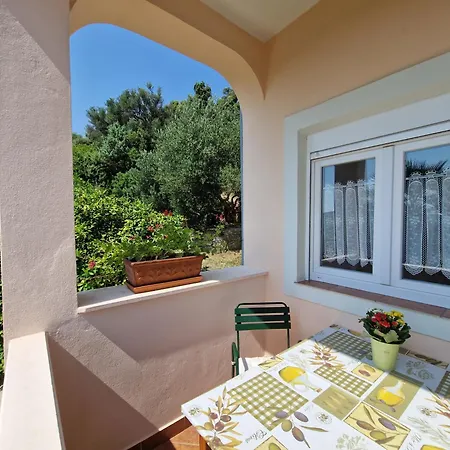 Apartmán Oliva New Translation